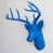 Brilliant Blue
