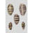 Shell Display II-495460965