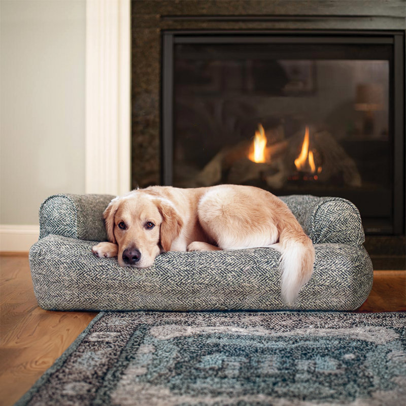 Canapé pour chien Snoozer Premium Microsuede, Grand (l 40 po x P 30 po x H 11 po), Indigo Palmer