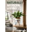 5" Artificial Dracaena Plant in Metal Stand