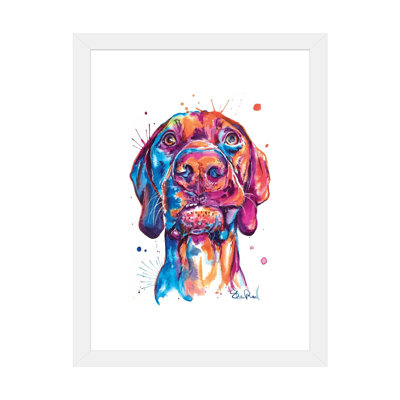 Vizsla