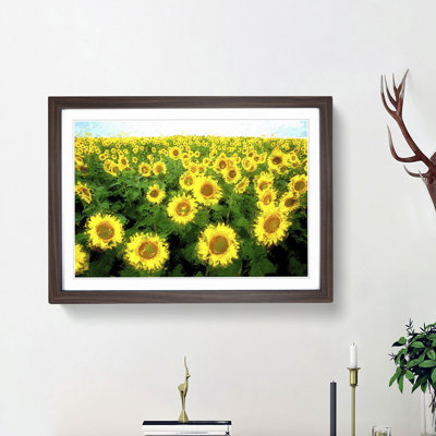 Yellow Sunflower Meadow - Framed Print