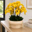 Replay Artificial Orchid Arrangement-1368774938
