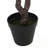 300CMARTIFICIAL DISC LEAF TREE