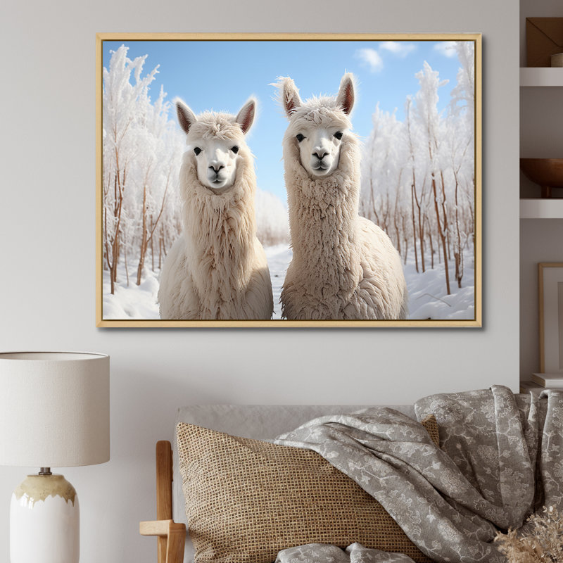 Alpagas Graceful Alpacas III - impression, H 24 po x l 32 po x P 1 po, Cadre naturel flottant
