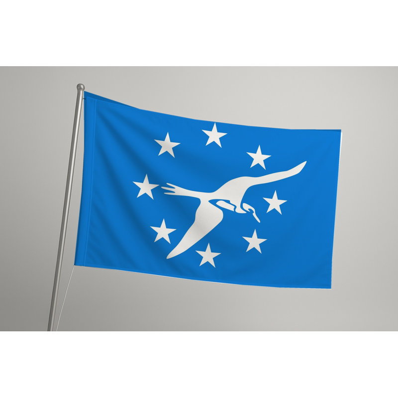 Drapeau de la ville de Corpus Christi - Drapeau extérieur, 24" H x 36" W