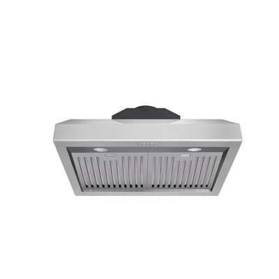 Hotte murale 30 pouces 1000 CFM en acier inoxydable