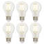 Set of 6 A19 clear glass LED Edison bulbs with visible vertical filaments and E26 medium bases