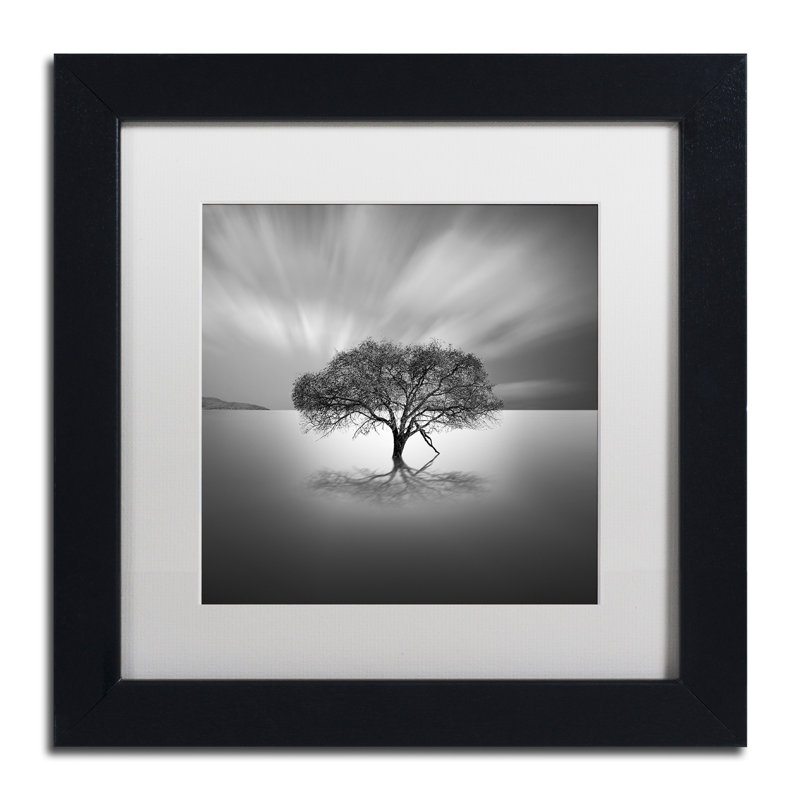 « water tree viii », reproduction de photo sur toile encadrée, H 11 po x l 14 po x P 0,5 po, Blanc