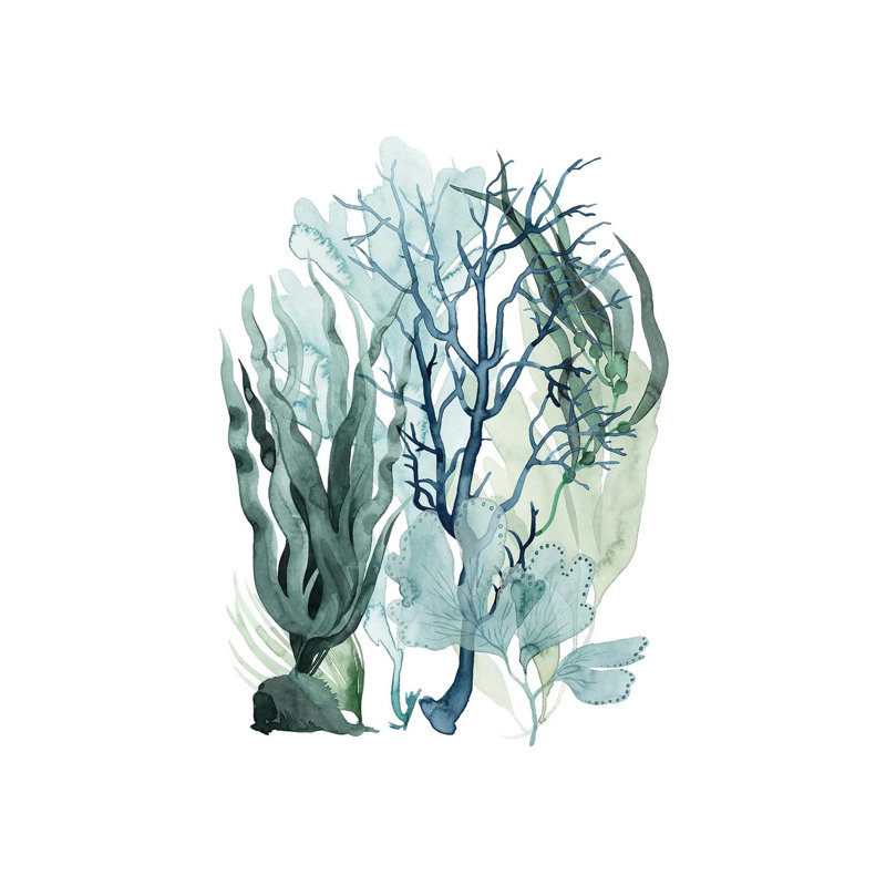 Sea Leaves IV 1 Piece Wrapped Canvas Painting, 30.48cm H x 20.32cm W x 1.91cm D