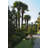 Arlonda Lamp Post (Full)-1114234294