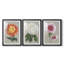 Chrysanthème sur fond gris I - Impression sur mesure encadrée de qualité supérieure - 3 pièces-1102658875-1102658873