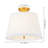 2 - Light Semi Flush Mount Ceiling Light