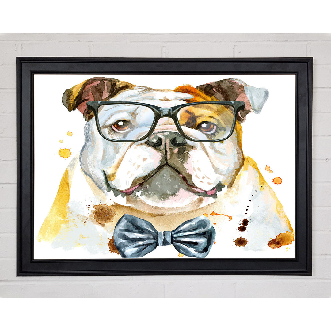 Die Bulldogge mit Brille Gerahmter Druck