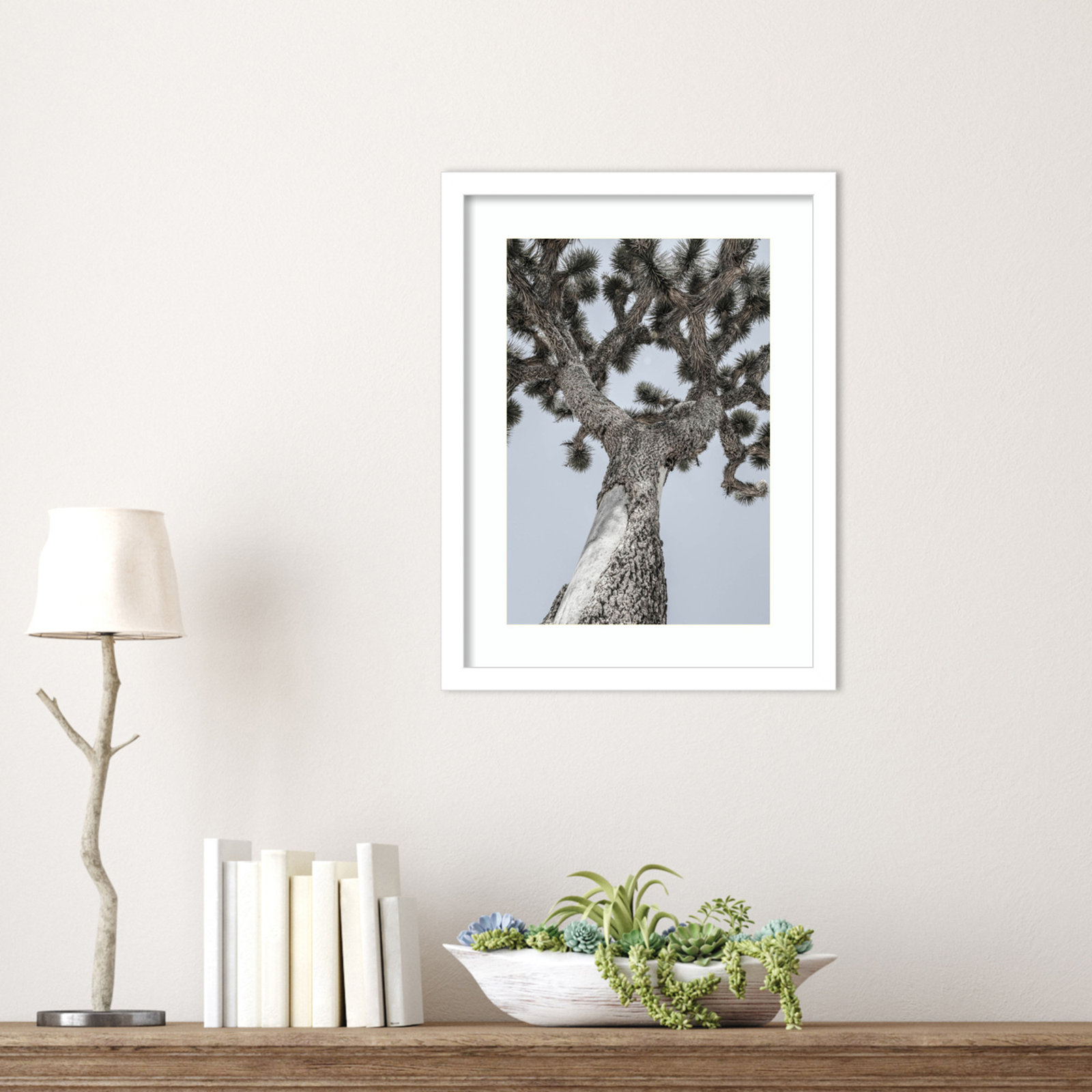 Daisey "Joshua" Print by Shot by Clint, White, 17" H x 13" W