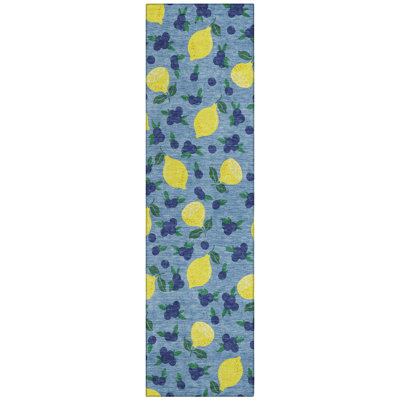 Machine Washable Indoor/Outdoor Bourkelands ACN2354 Fruits Rug