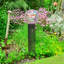 10 pouces Echo Valley 8328 Hummingbird