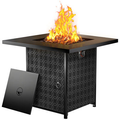 Nadina Steel Propane Fire Pit Table