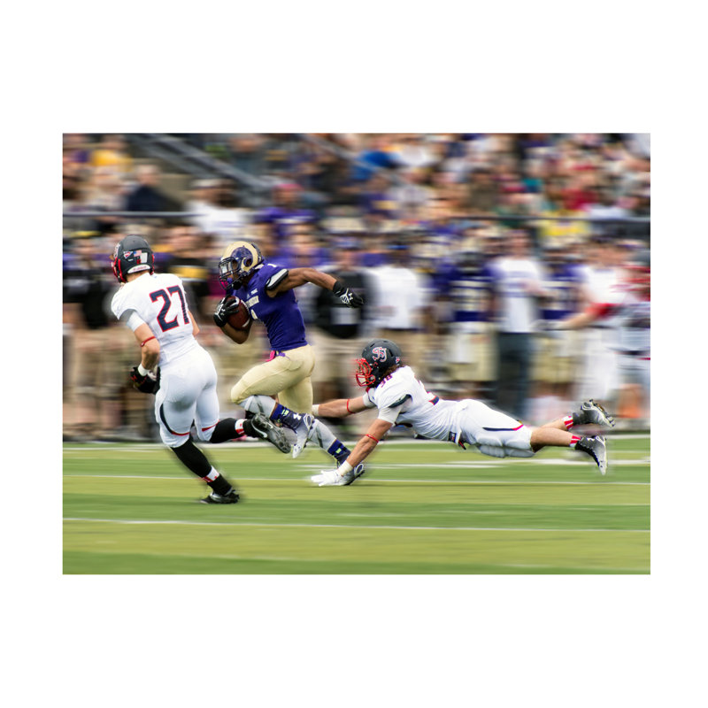 Rob Li Catch Me If You Can Canvas Art, H 14 po x l 19 po