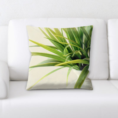 Coussin de plante