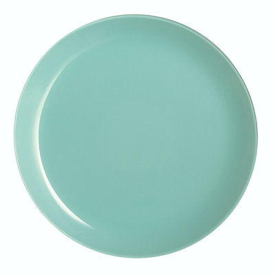 Dinner Plate