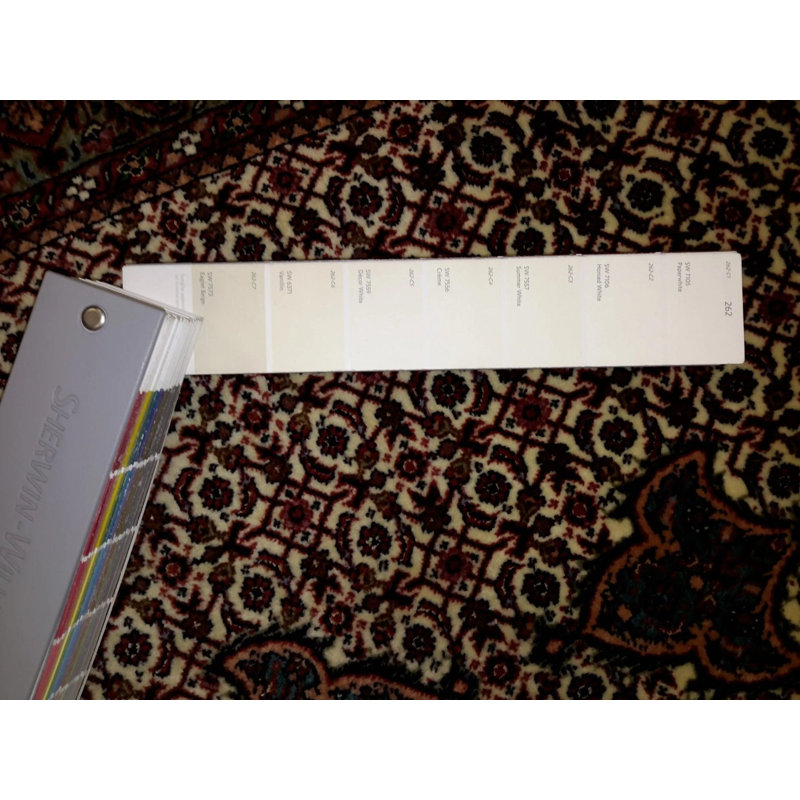 Oriental Area Rug in Beige