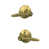 Satin Brass
