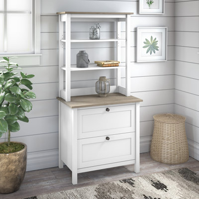 Taneicia Storage Bookcase