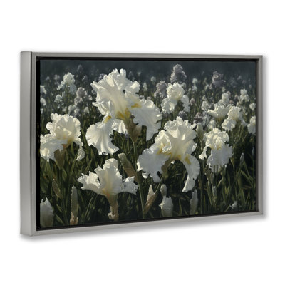 White Iris Garden Floating Frame, design by Collin Bogle