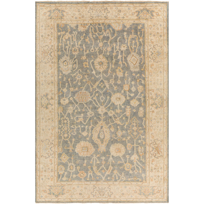 Daucourt Wool Oriental Area Rug, Rectangle 2' x 3'