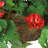 24'' Faux Green, Red Plant in Wicker/Rattan Basket