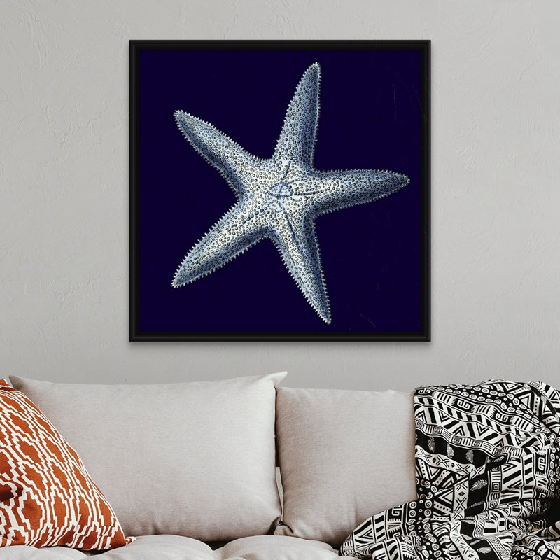 « Indigo shells IV » par vision studio-impression, Cadre noir, H 38 po x l 38 po x 1,75 po