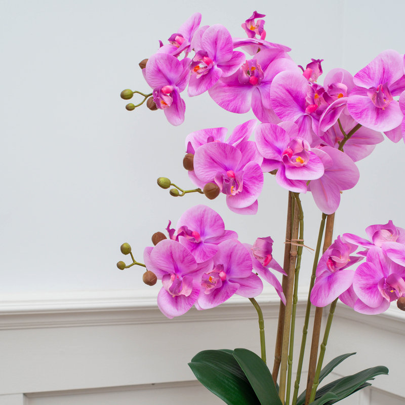Arrangement