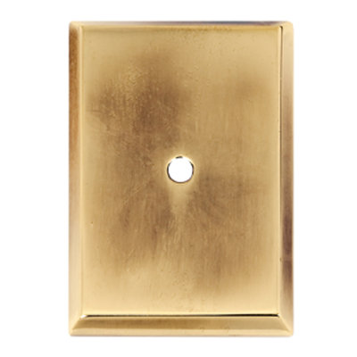 2.63" Back Plate