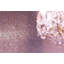 5/8" x 5/8" Glimmer Glass Mosaic-853814237