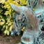 Deshayla Animals Statue