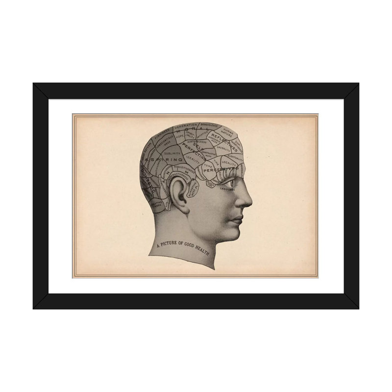 Cartographie «Phrenology Humain Head», reproduction d'impression sur toile, H 16 po x l 24 po x P 1 po, Blanc