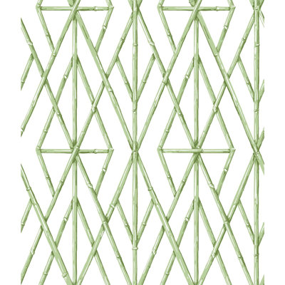 Rouleau de papier peint à motif de treillis en bambou L 33 pi x l 20,5 po Riviera
