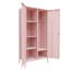 Nikeria 2 Door Steel Wardrobe-680393430