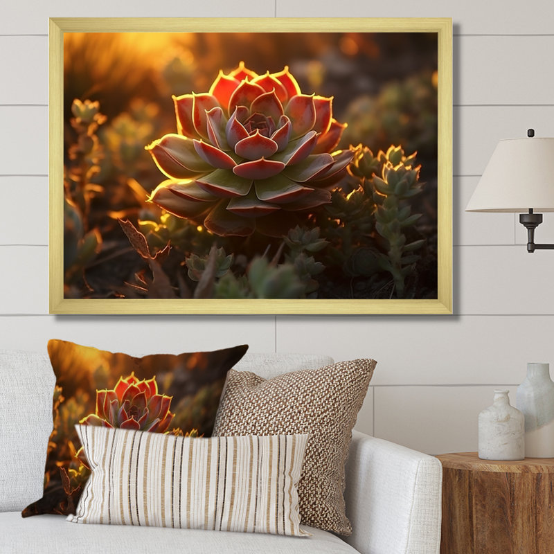 «Succulent Desert Cactus Field Burning Sunset II», reproduction sur toile, Encadrement doré, H 16 po x l 32 po x P 1 po
