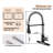 Bolden CASAINC 1.8 GPM Spring Neck Pull Down Kitchen Faucet with Deck Plate-93965527