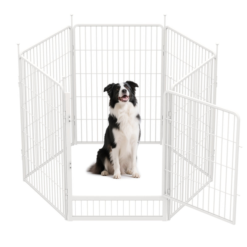 Panneaux de enclos pour chien multi-tailles en métal avec 2 portes, H 40 po x l 428,8 po x P 0,63 po, Blanc