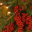 The Holiday Aisle® 24in. Valley Pine Wreath with Battery Operated Warm White LED Lights