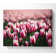 Pink Tulips Spring - Wrapped Canvas Art Prints