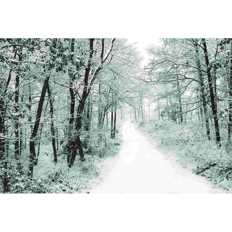 Snowy Lane, H 24 po x l 36 po