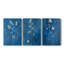 Floral Study Series XXIV - Ensemble de toiles tendues avec châssis Premium - Prêt à être accroché-102399292