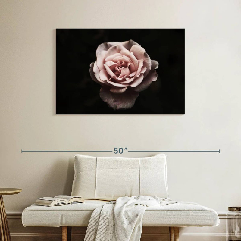 Rose œillet Harnek
