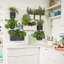 Wall Planter