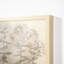 Studies Of Phlox Print by Julie De Glad