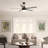 Hunter 60 inch Aerodyne Wi-Fi ENERGY STAR® Ceiling Fan with LED Light Kit and Handheld Remote